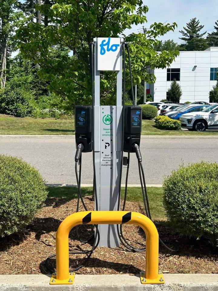  (2024)